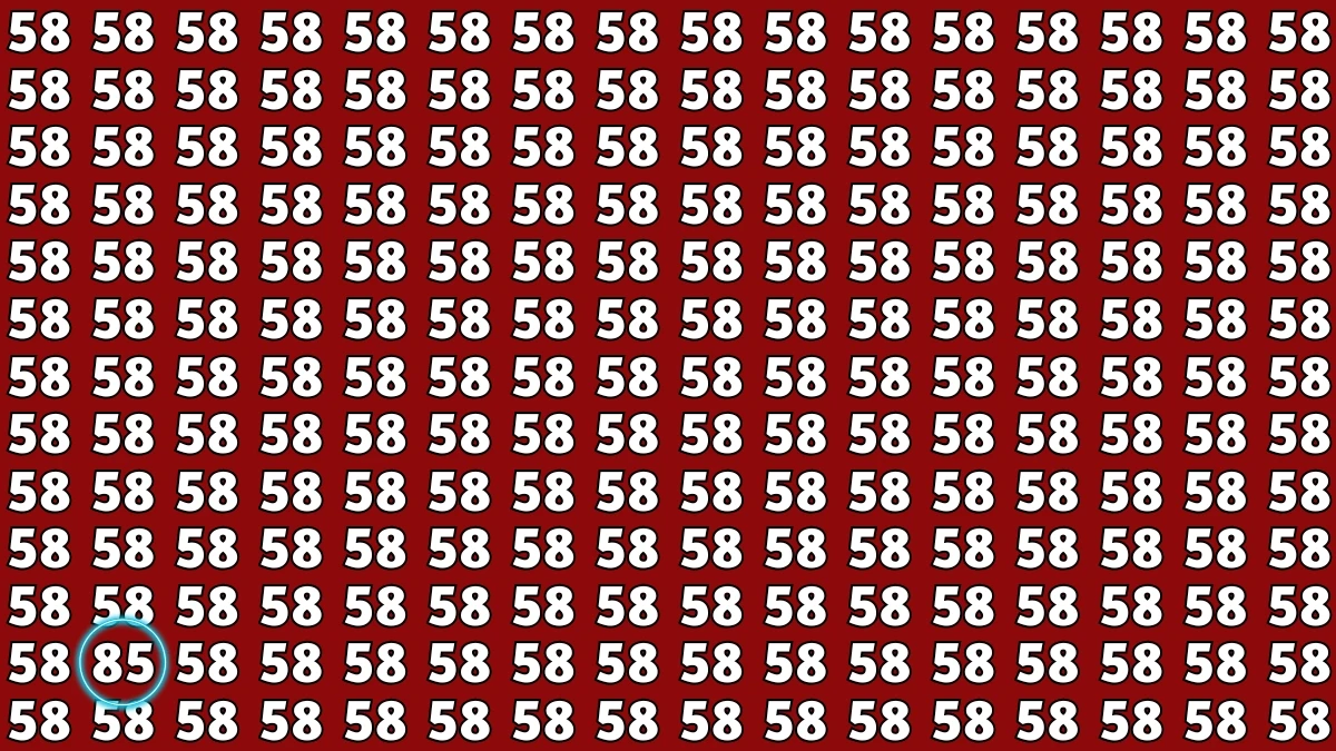 Observation Find It Out: Within 7 Seconds Spot The Number 85 among 58s