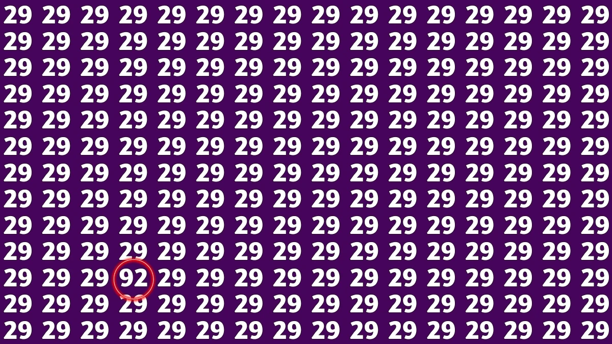 Observation Find It Out: Within 7 Seconds Spot The Number 92 among 29s