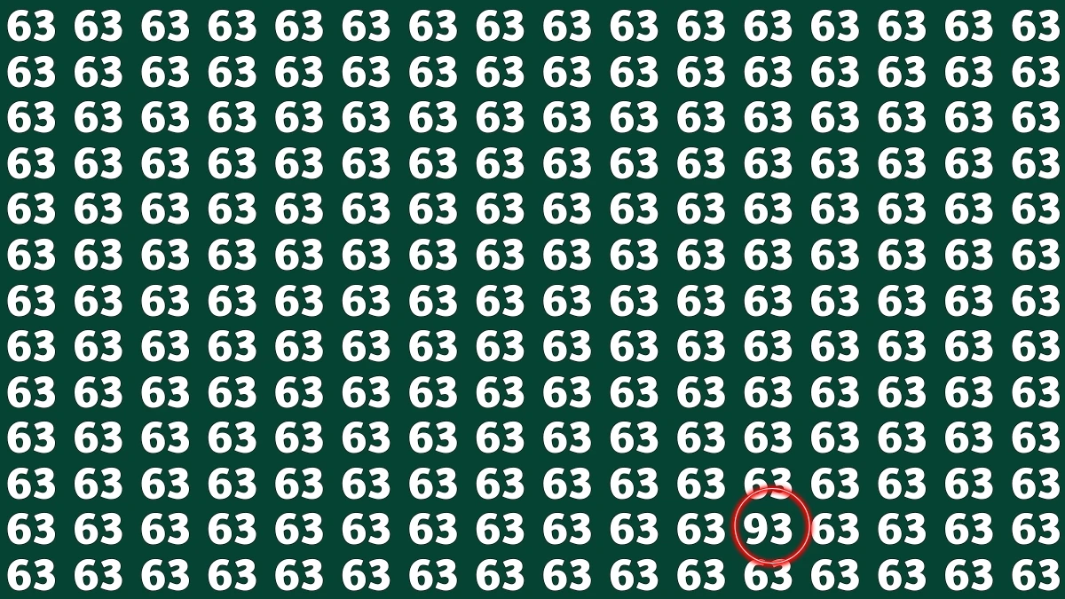Observation Find It Out: Within 7 Seconds Spot The Number 93 among 63s