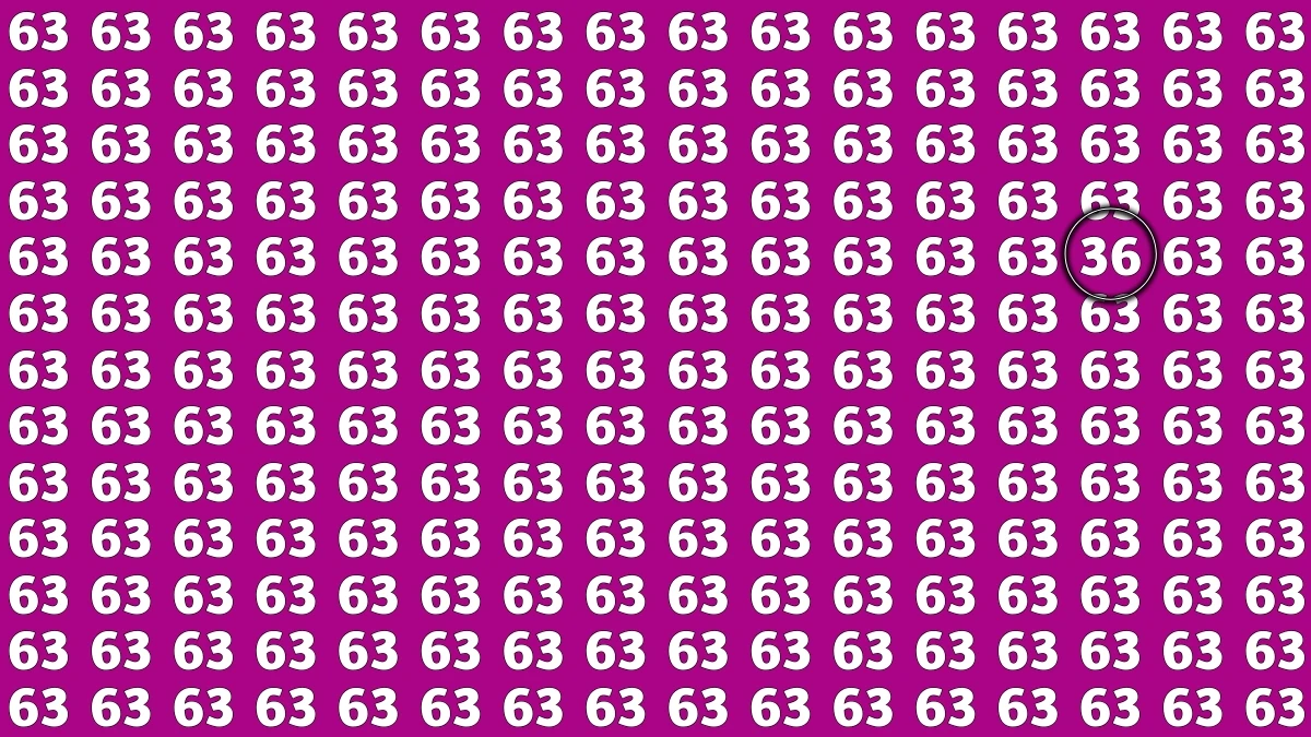 Only the top 1% of geniuses with eagle eyes can find 36 in 6 secs