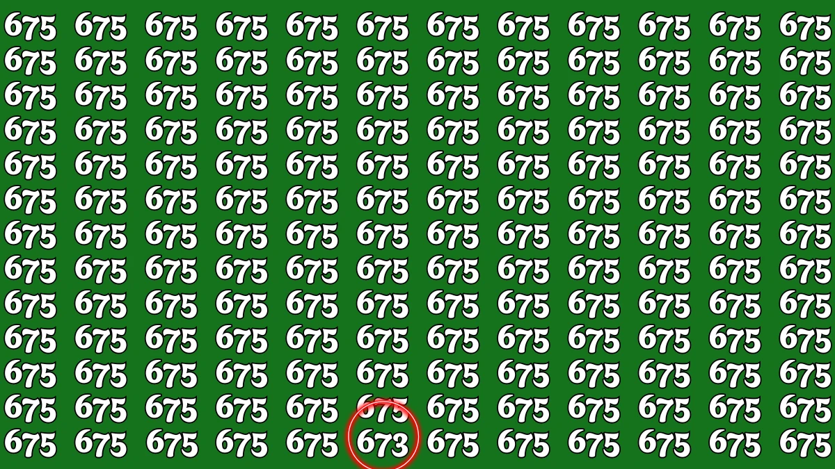 Optical Illusion 7 Seconds Challenge: Only People with Eagle Eyes Can spot the Number 673
