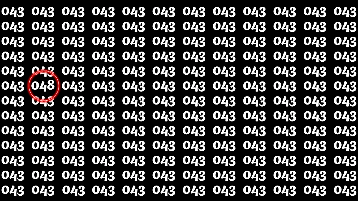 Optical Illusion 8 Seconds Challenge: Only People with Eagle Eyes Can spot the Number 048