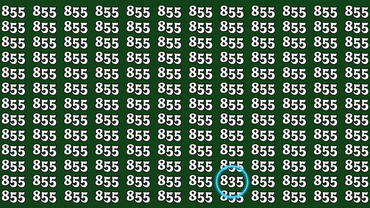 Optical Illusion 8 Seconds Challenge: Only People with Eagle Eyes Can spot the Number 835