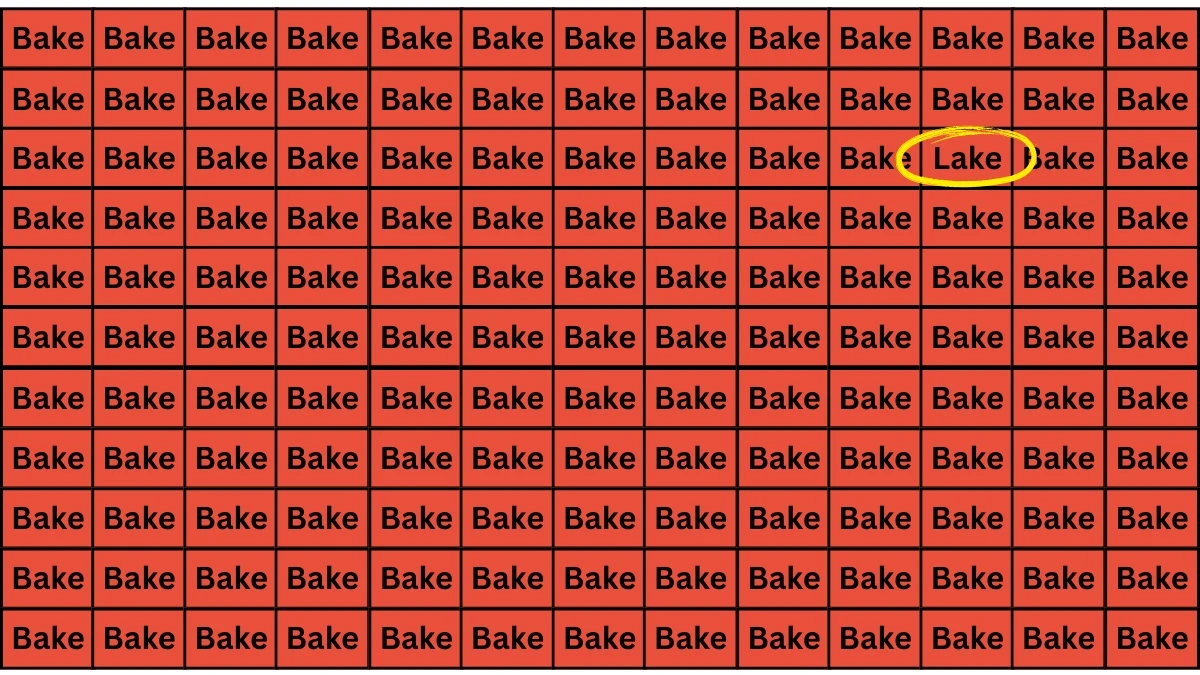 Optical Illusion: Do you have a Super-Eye Vision with 20/20 Eyesight, Find the Word LAKE among BAKE in 9 Secs