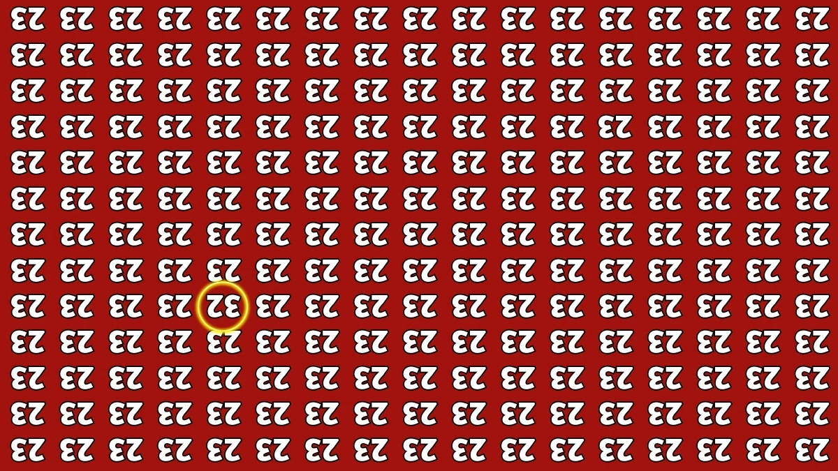 Optical Illusion IQ Test: Are You A Genius? Within 6 Seconds Spot The Inverted 32 among Inverted 23s