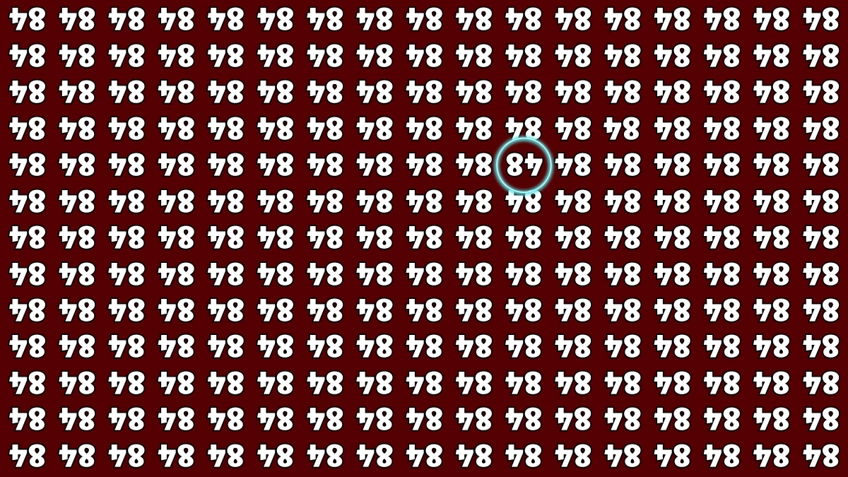 Optical Illusion IQ Test: Are You A Genius? Within 6 Seconds Spot The Inverted 48 among Inverted 84s