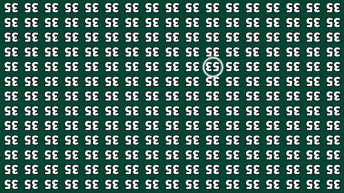 Optical Illusion IQ Test: Are You A Genius? Within 6 Seconds Spot The Inverted 53 among Inverted 35s