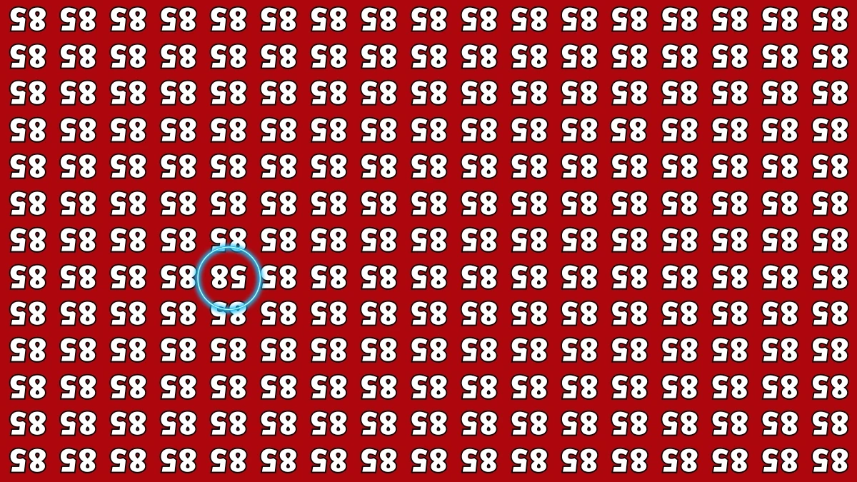Optical Illusion IQ Test: Are You A Genius? Within 6 Seconds Spot The Inverted 58 among Inverted 85s