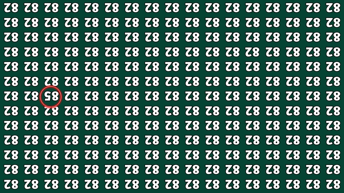 Optical Illusion IQ Test: Are You A Genius? Within 6 Seconds Spot The Inverted 85 among Inverted 82s