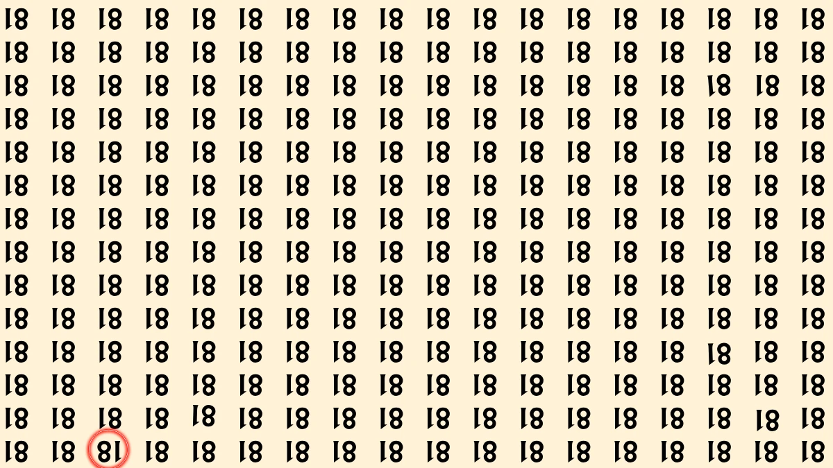 Optical Illusion IQ Test: Are You A Genius? Within 8 Seconds Spot The Inverted 18 among Inverted 81s