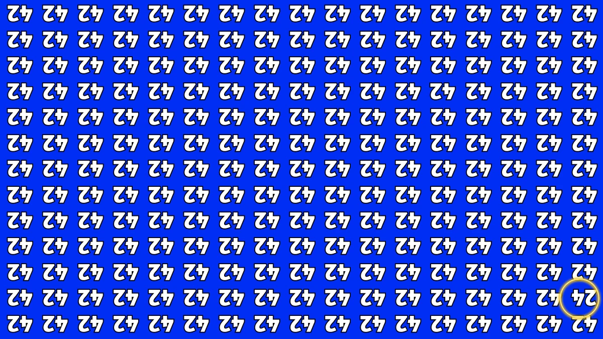 Optical Illusion IQ Test: Are You A Genius? Within 8 Seconds Spot The Inverted 24 among Inverted 42