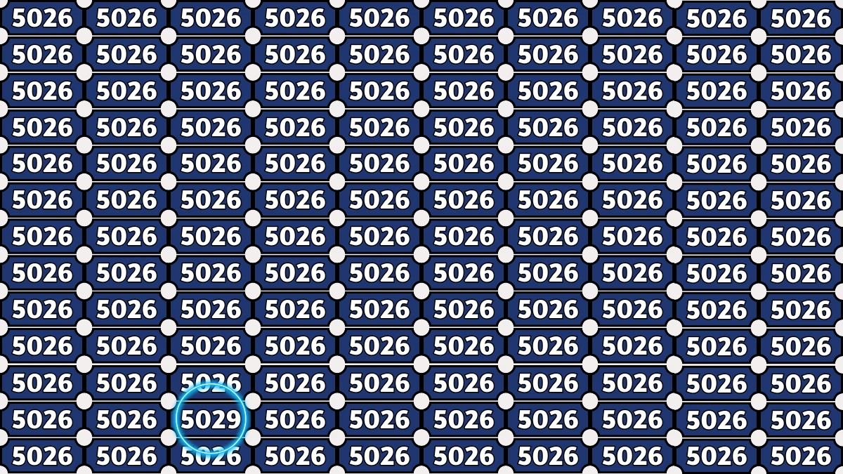 Optical Illusion Puzzle IQ Test: Within 6 Seconds Spot The Number 5029 among 5026s