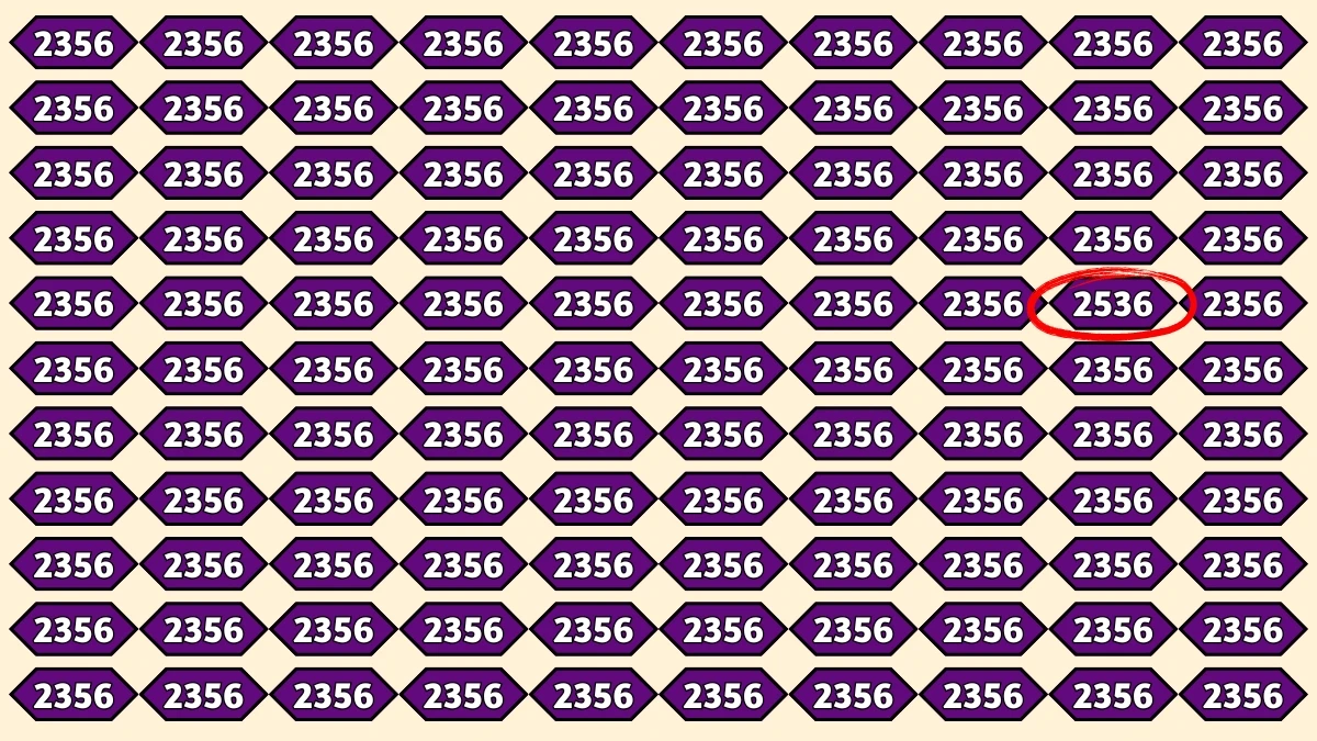 Optical Illusion Puzzle IQ Test: Within 9 Seconds Spot The Number 2536 among 2356s