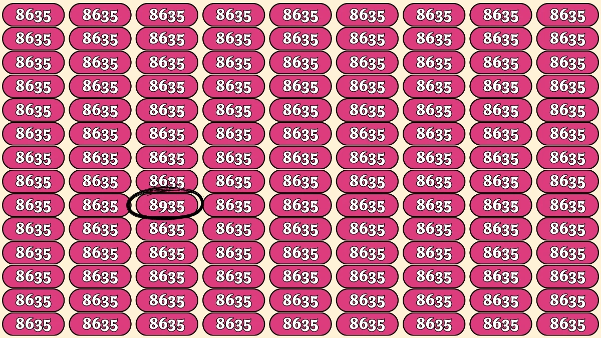 Optical Illusion Puzzle IQ Test: Within 9 Seconds Spot The Number 8935 among 8635s