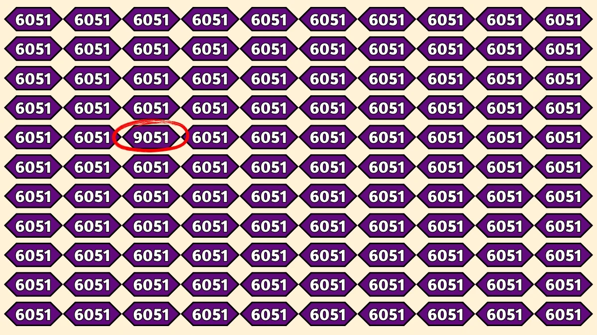 Optical Illusion Puzzle IQ Test: Within 9 Seconds Spot The Number 9051 among 6051s