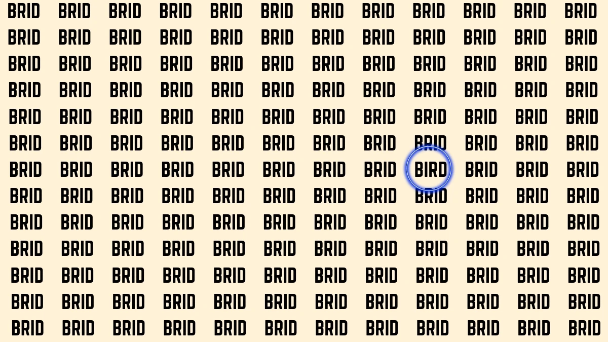 Optical Illusion Visual Test: Within 5 Seconds Spot The Word BIRD among BRIDs