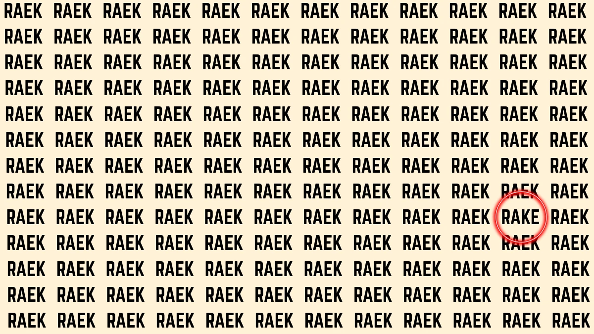 Optical Illusion Visual Test: Within 5 Seconds Spot The Word RAKE among RAEKs