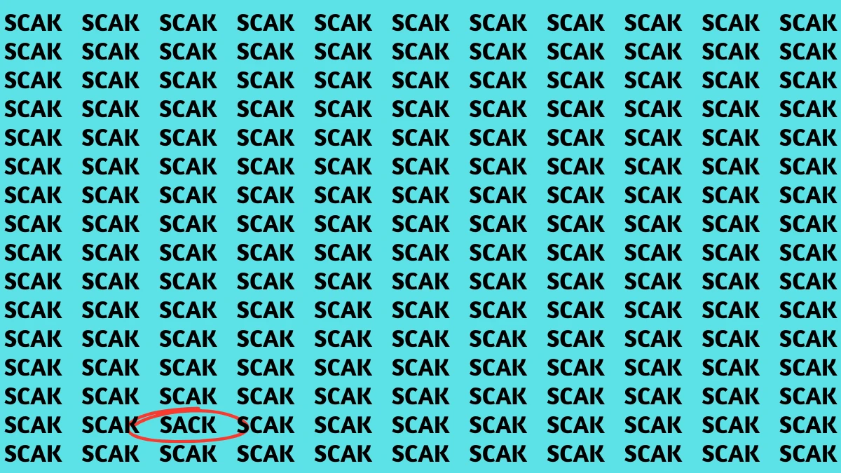 Optical Illusion Visual Test: Within 5 Seconds Spot The Word SACK among SCAKs