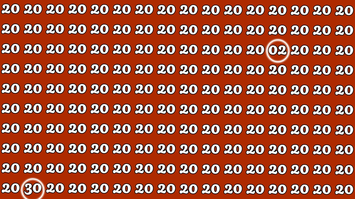 Optical Illusion: Within 5 Seconds Spot The Number 02 and 30 among 20