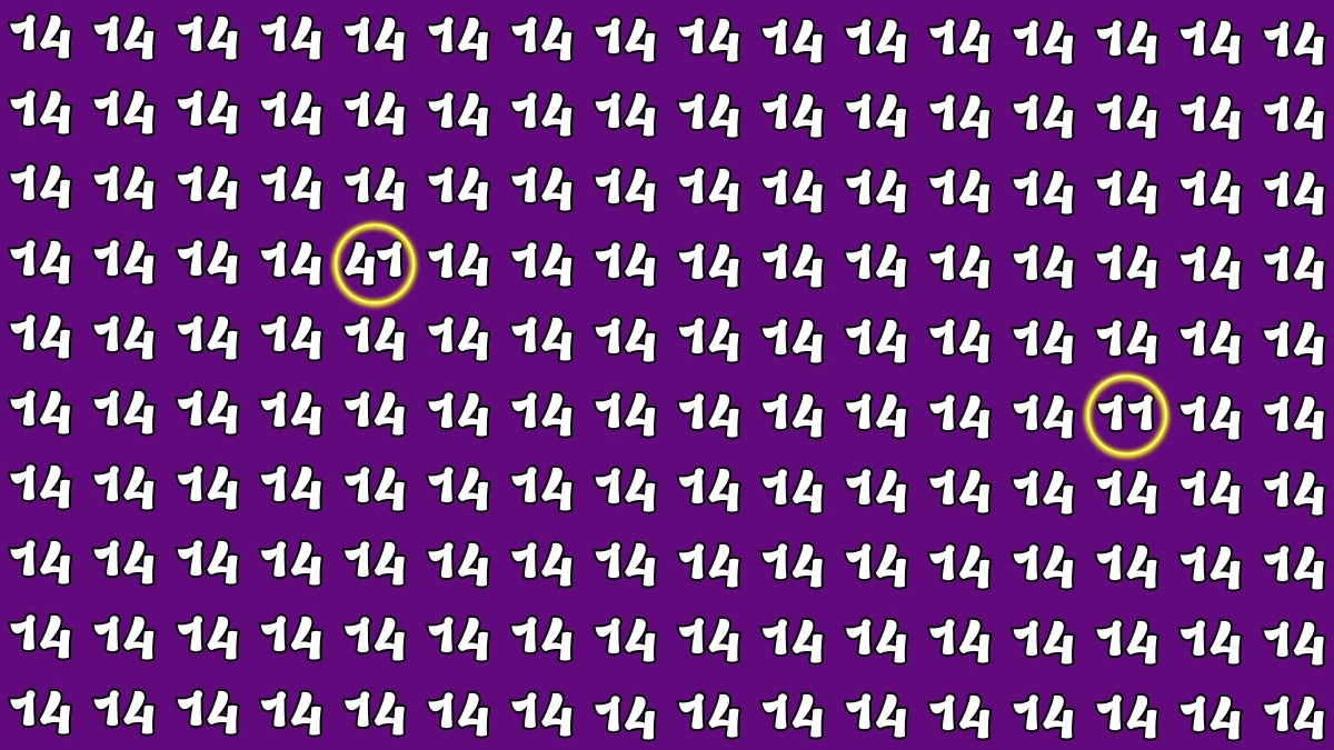 Optical Illusion: Within 5 Seconds Spot The Number 41 and 11 among 14
