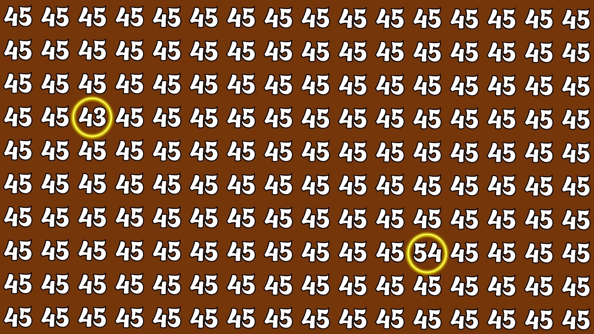 Optical Illusion: Within 5 Seconds Spot The Number 43 and 54 among 45