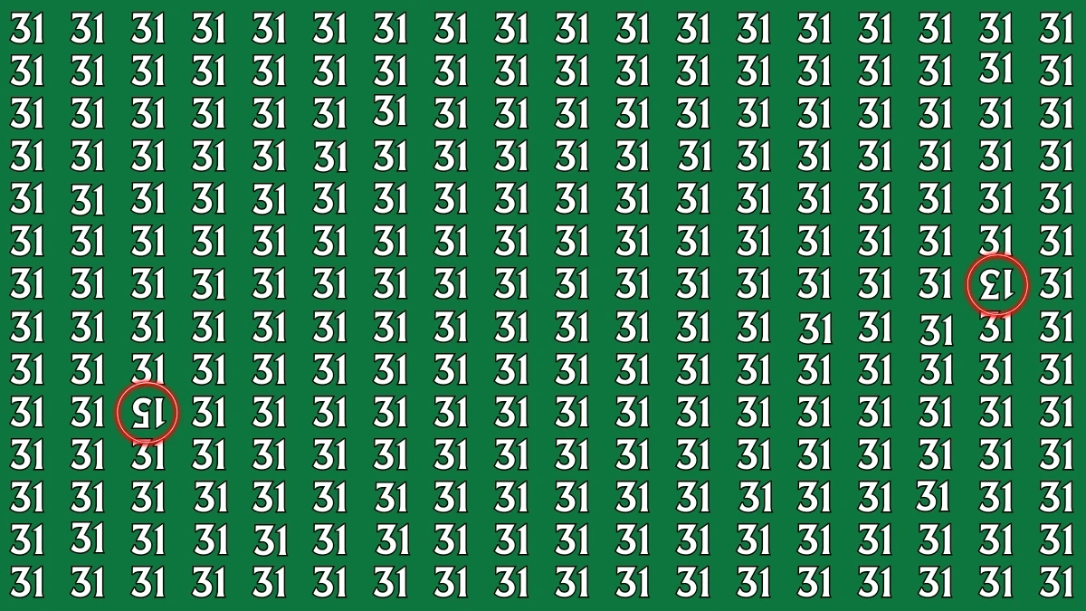Optical Illusion: Within 6 Seconds Spot The Inverted 15 and 13 among 31