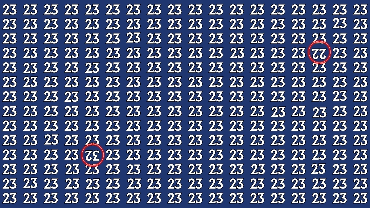 Optical Illusion: Within 6 Seconds Spot The Inverted 22 and 32 among 23s