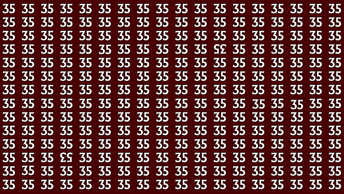Optical Illusion: Within 6 Seconds Spot The Inverted 35 and 53 among 35s