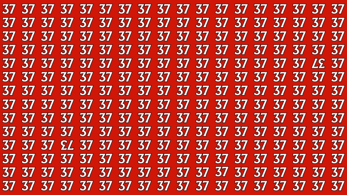 Optical Illusion: Within 6 Seconds Spot The Inverted 37 and 73 among 37s