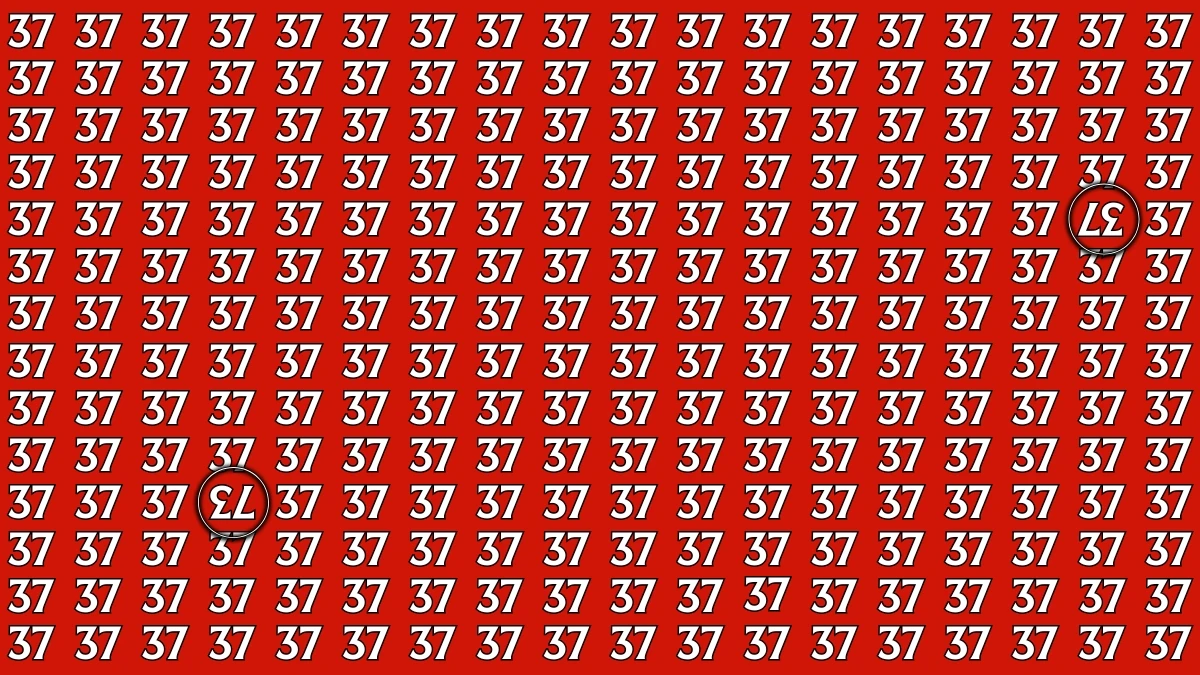 Optical Illusion: Within 6 Seconds Spot The Inverted 37 and 73 among 37s