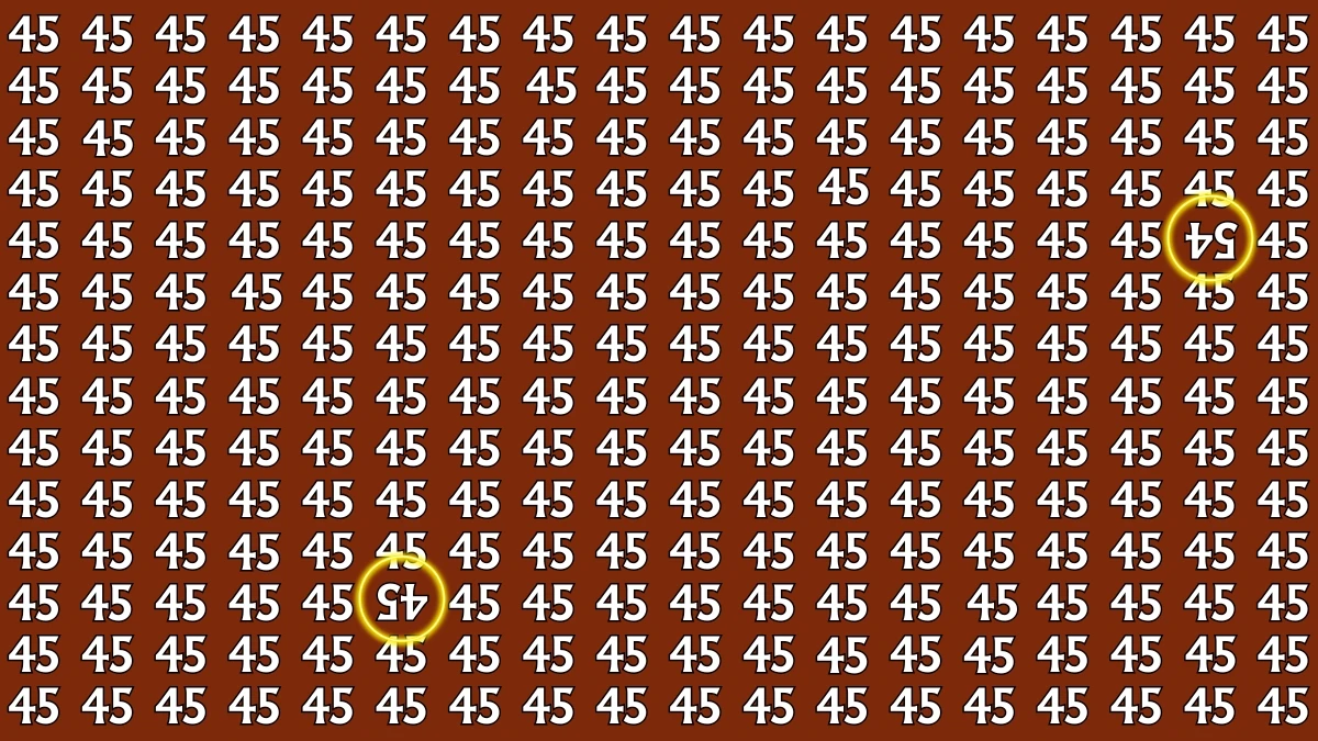 Optical Illusion: Within 6 Seconds Spot The Inverted 45 and 54 among 45s
