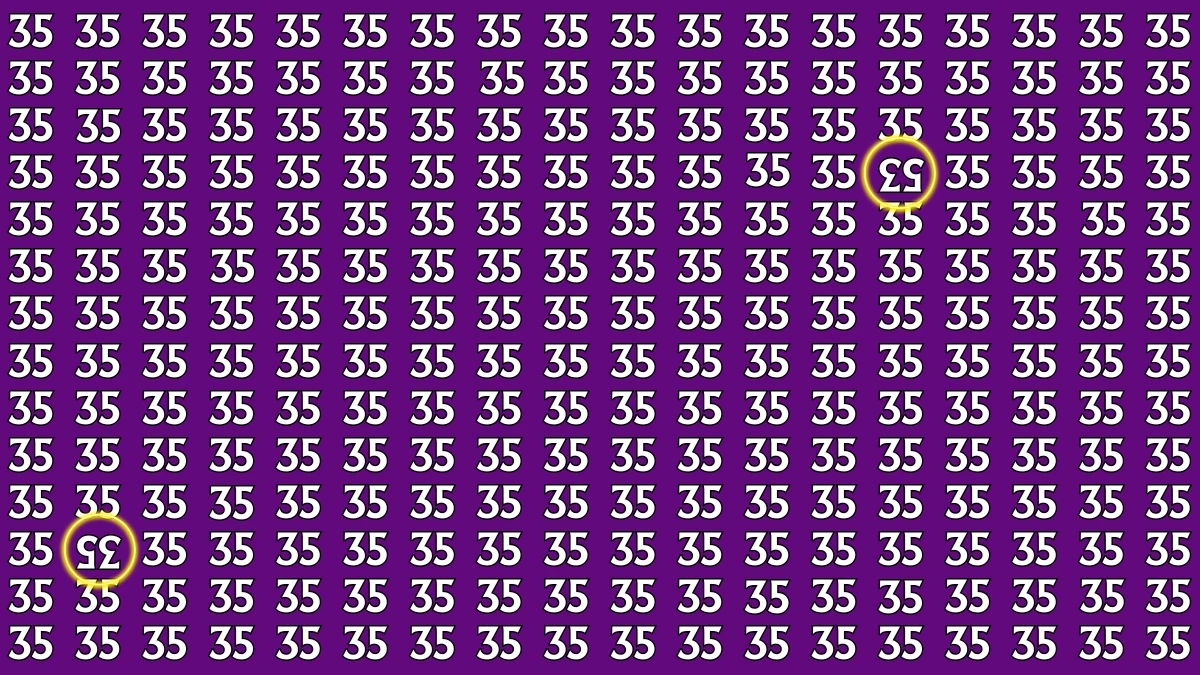 Optical Illusion: Within 6 Seconds Spot The Inverted 53 and 35 among 35