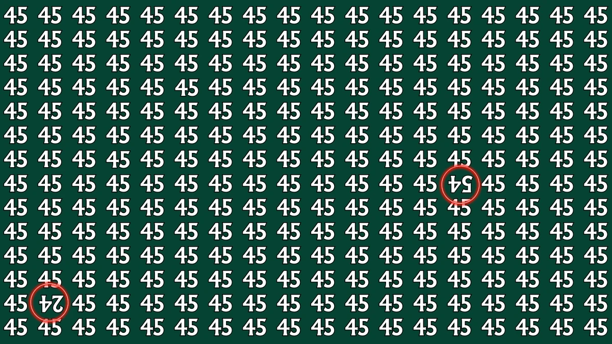 Optical Illusion: Within 6 Seconds Spot The Inverted 54 and 24 among 45s