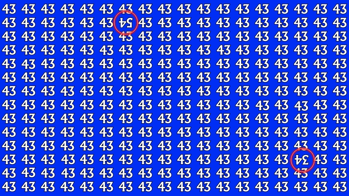 Optical Illusion: Within 6 Seconds Spot The Inverted 54 and 34 among 43s