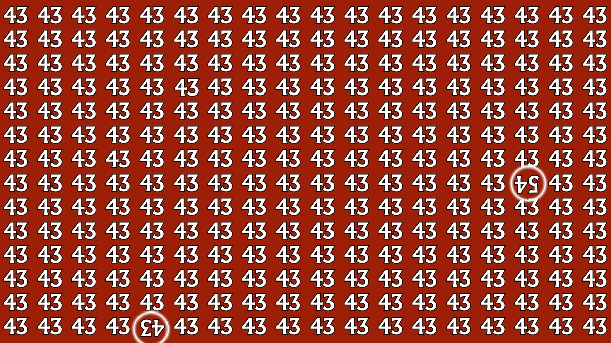 Optical Illusion: Within 6 Seconds Spot The Inverted 54 and 43 among 43s