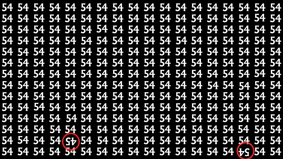 Optical Illusion: Within 6 Seconds Spot The Inverted 54 and 45 among 54s