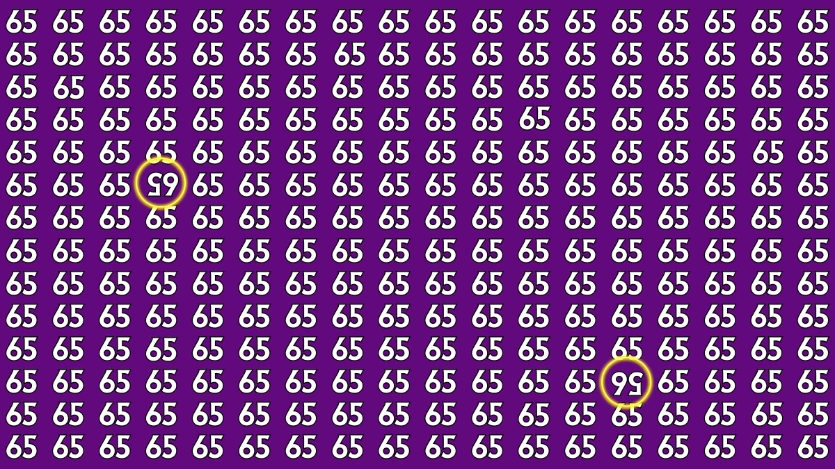 Optical Illusion: Within 6 Seconds Spot The Inverted 56 and 65 among 65s