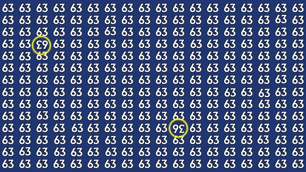 Optical Illusion: Within 6 Seconds Spot The Inverted 63 and 36 among 63s