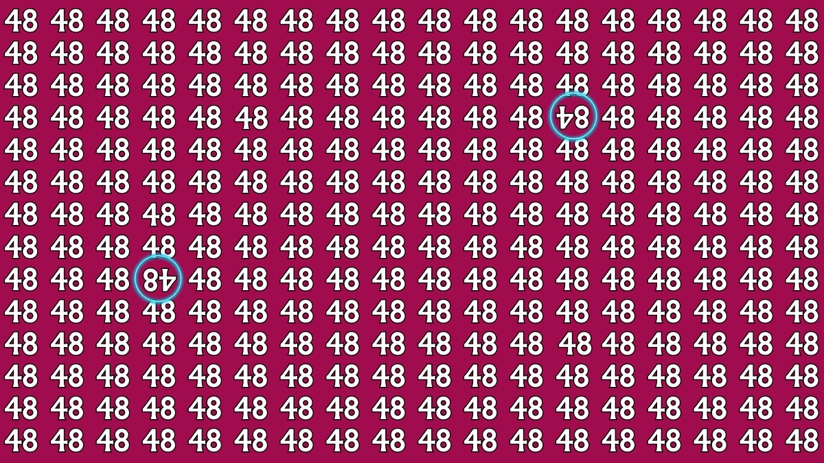 Optical Illusion: Within 6 Seconds Spot The Inverted 84 and 48 among 48s