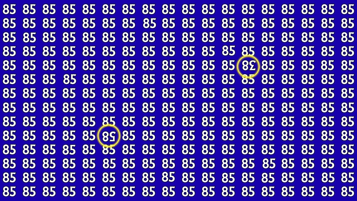 Optical Illusion: Within 7 Seconds Spot The Inverted 38 and 58 among 85s