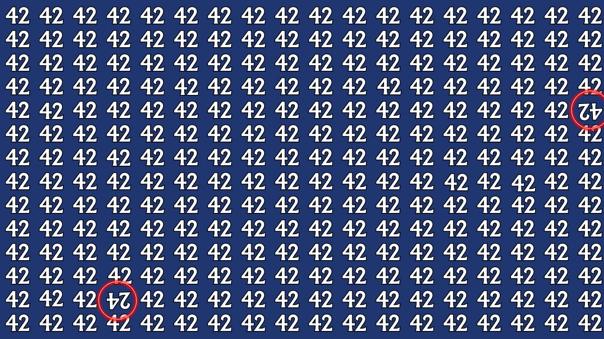 Optical Illusion: Within 7 Seconds Spot The Inverted 42 and 24 among 42s