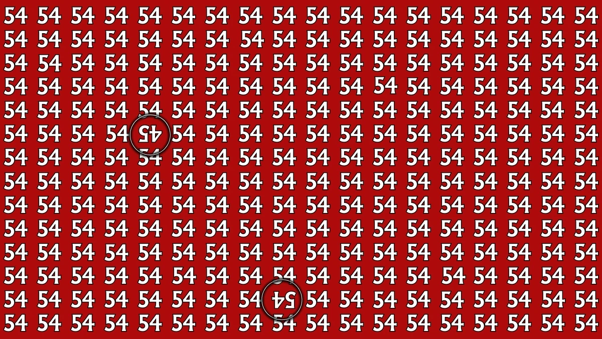 Optical Illusion: Within 7 Seconds Spot The Inverted 45 and 54 among 54s