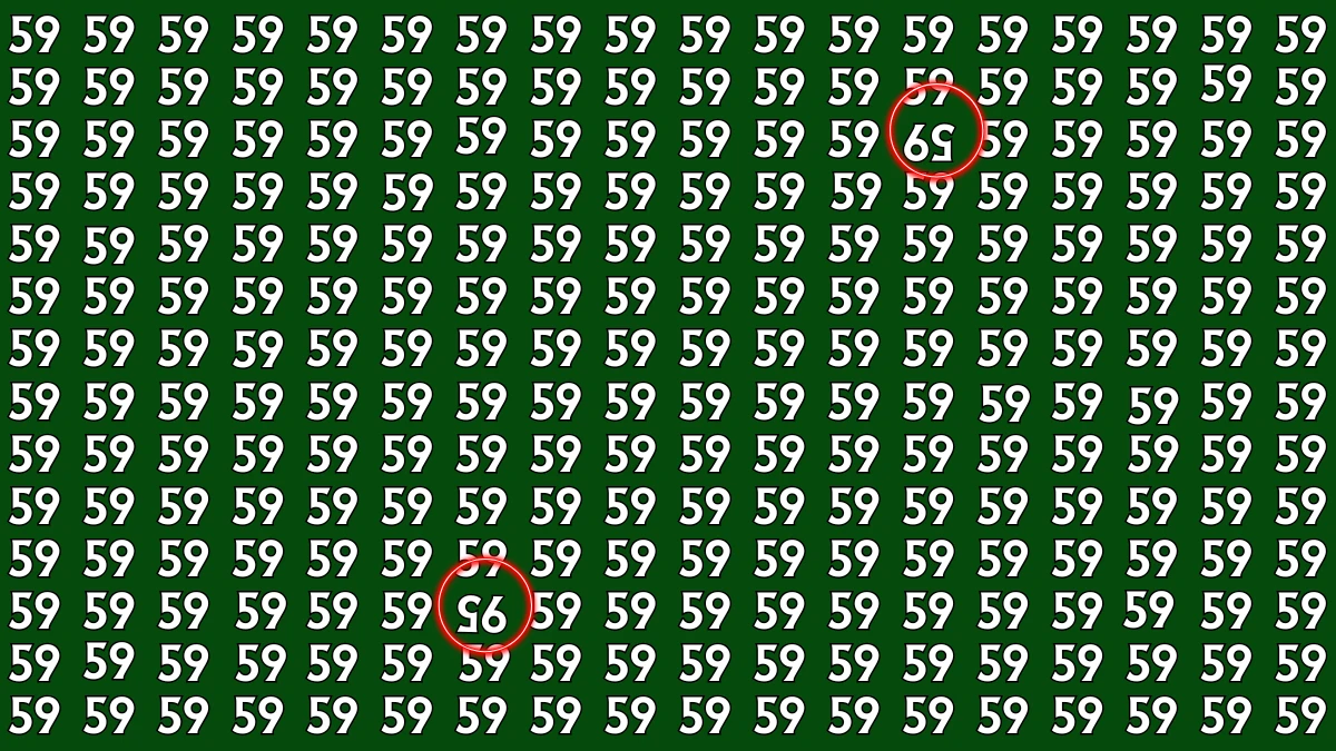 Optical Illusion: Within 7 Seconds Spot The Inverted 59 and 95 among 59s