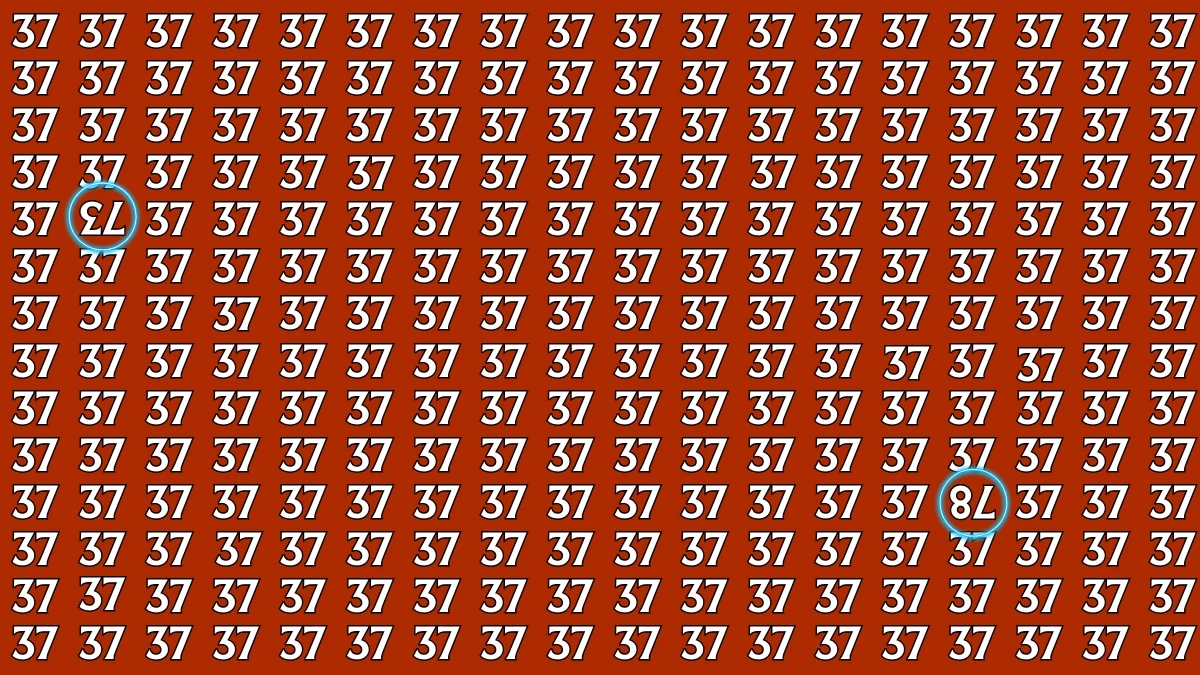Optical Illusion: Within 7 Seconds Spot The Inverted 73 and 78 among 37s