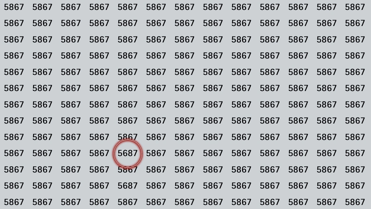 Optical Illusion: Within 7 Seconds Spot The Number 5687 among 5867s
