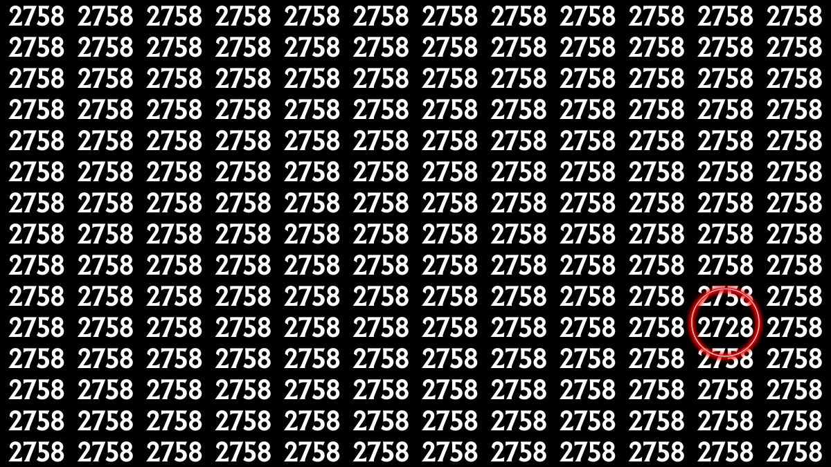 Optical Illusion: Within 9 Seconds Spot The Number 2728 among 2758