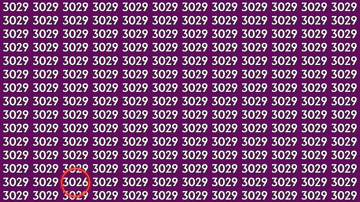 Optical Illusion: Within 9 Seconds Spot The Number 3026 among 3029