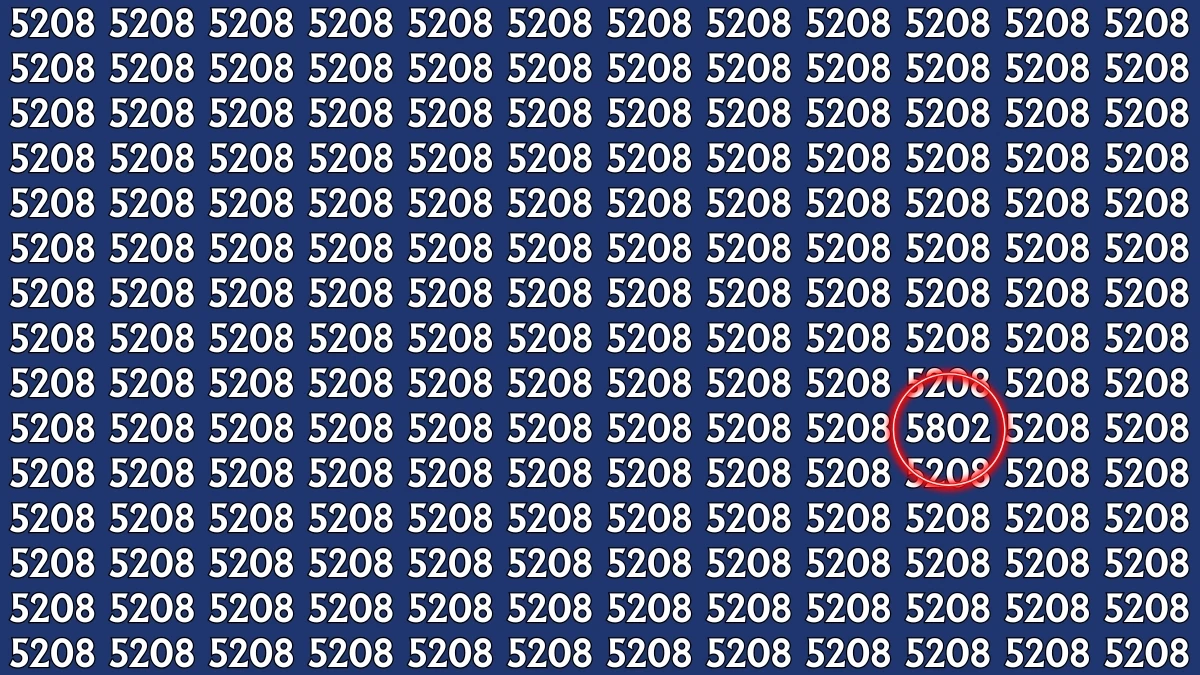 Optical Illusion: Within 9 Seconds Spot The Number 5802 among 5208