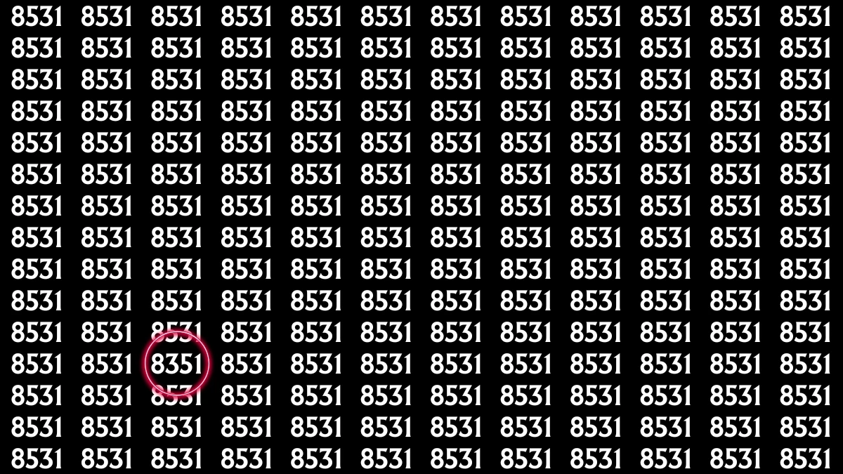 Optical Illusion: Within 9 Seconds Spot The Number 8351 among 8531s