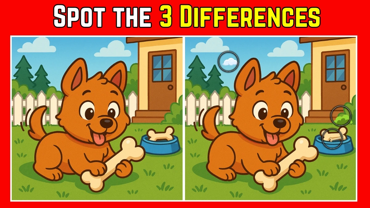 Picture Puzzle IQ Test: Within 8 Seconds Spot The 3 Differences in this Dog Image